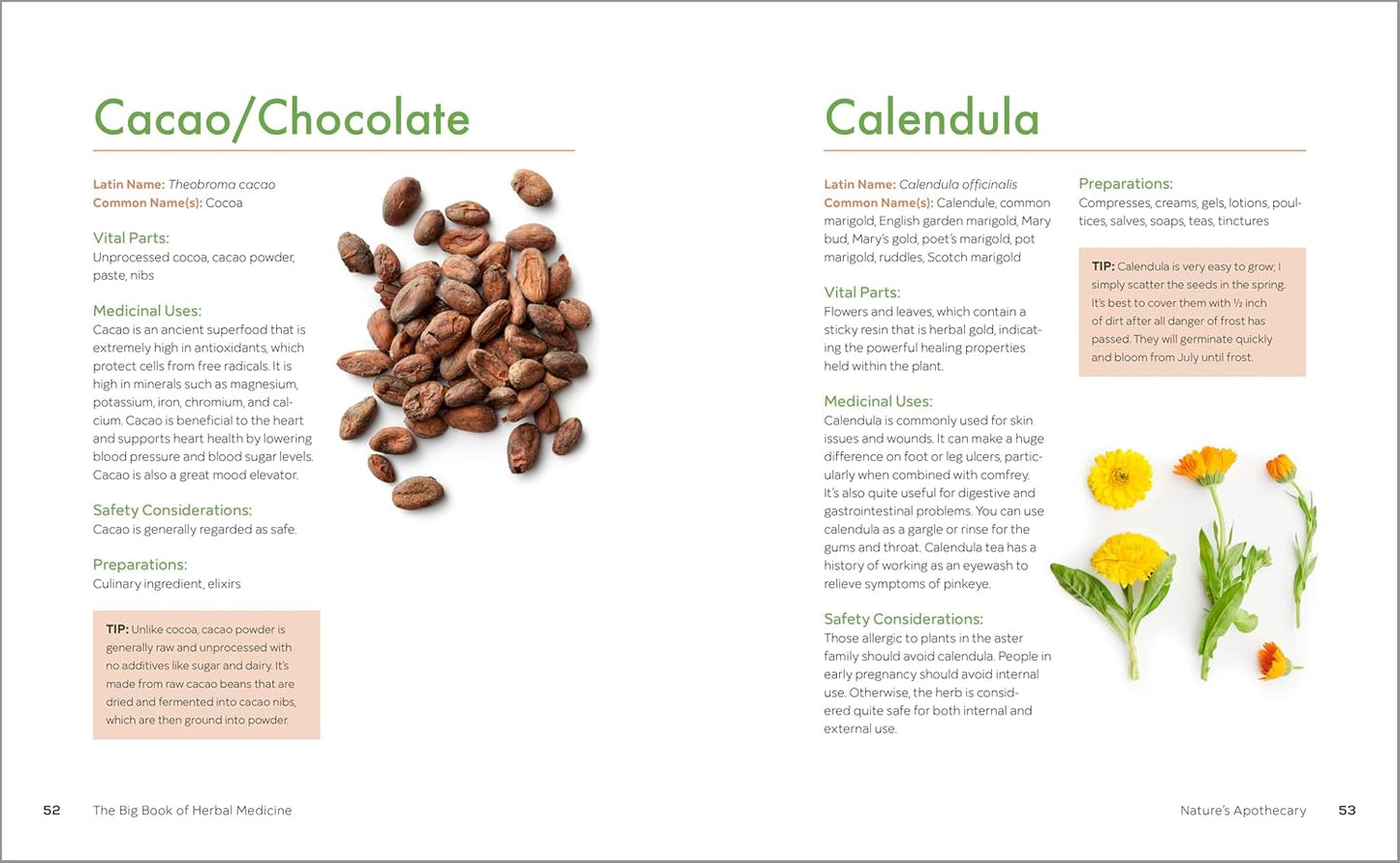 The Big Book of Herbal Medicine