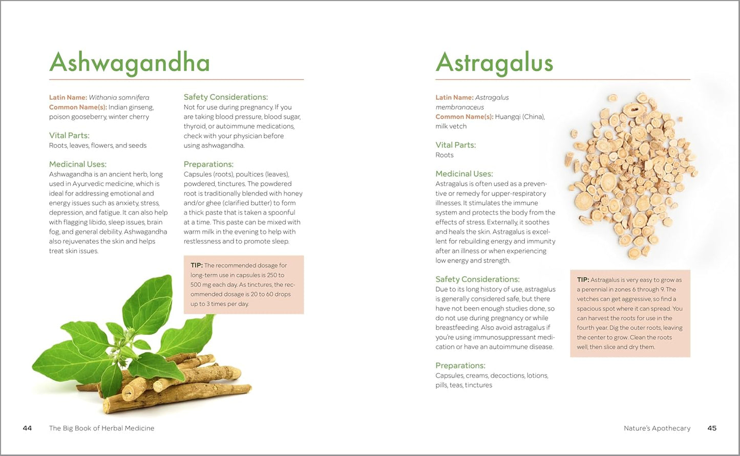 The Big Book of Herbal Medicine