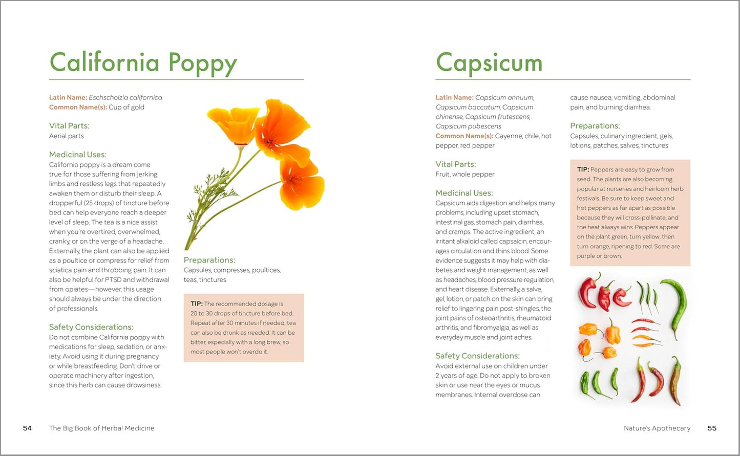 The Big Book of Herbal Medicine