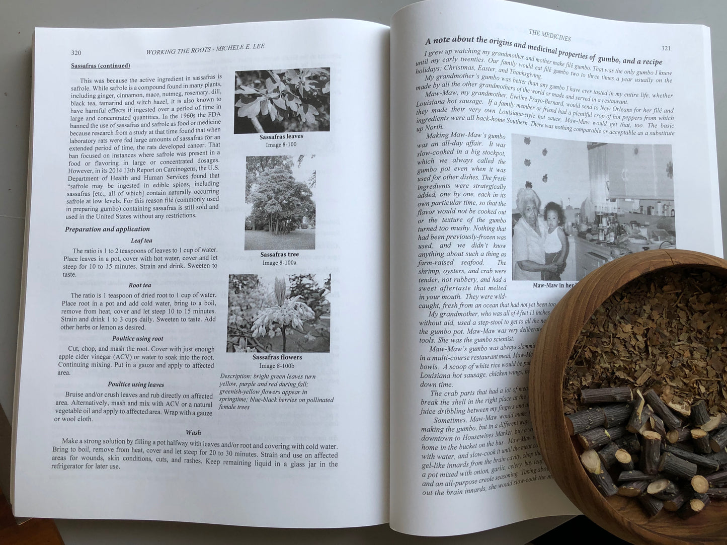 Working The Roots: Over 400 Years of Traditional African American Healing