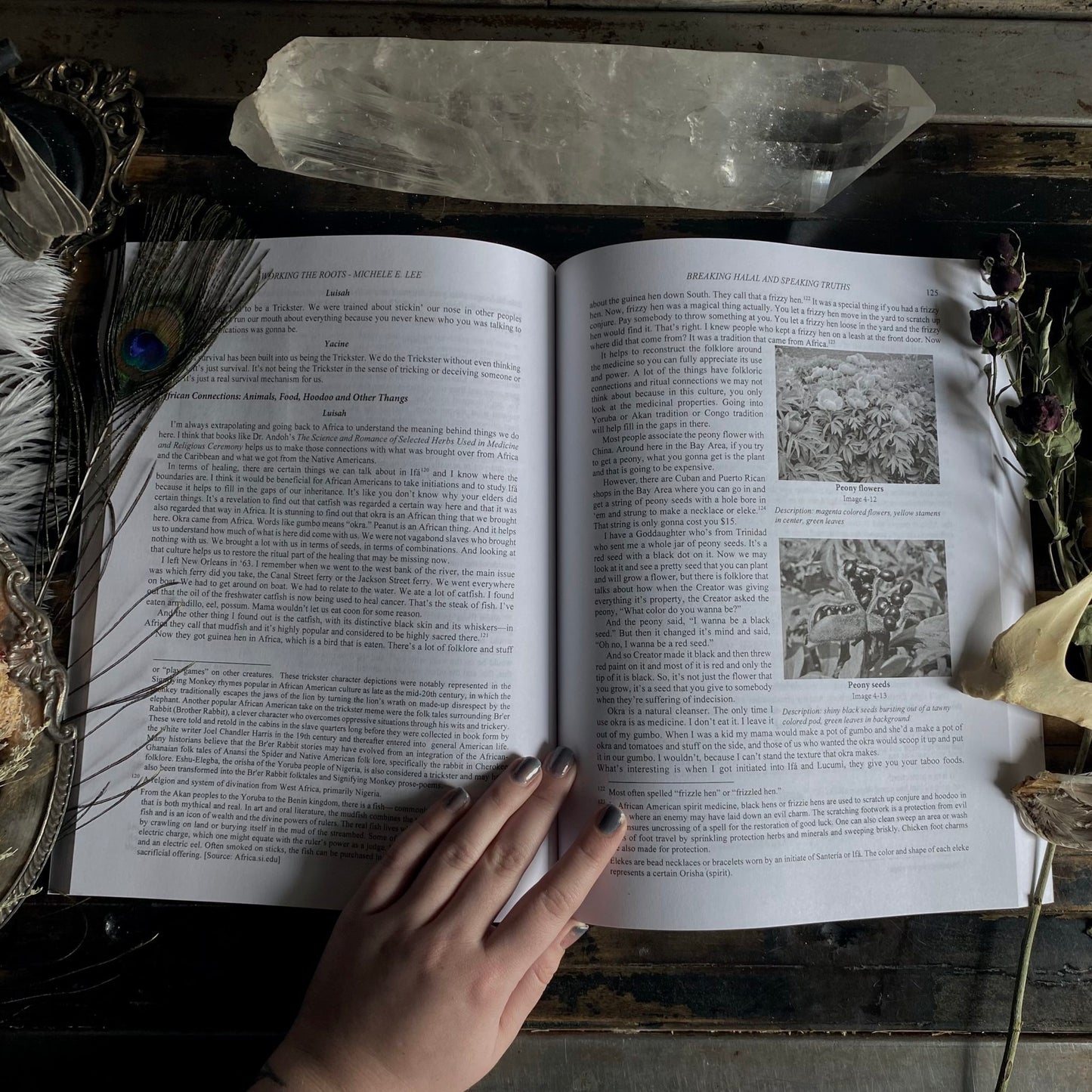 Working The Roots: Over 400 Years of Traditional African American Healing