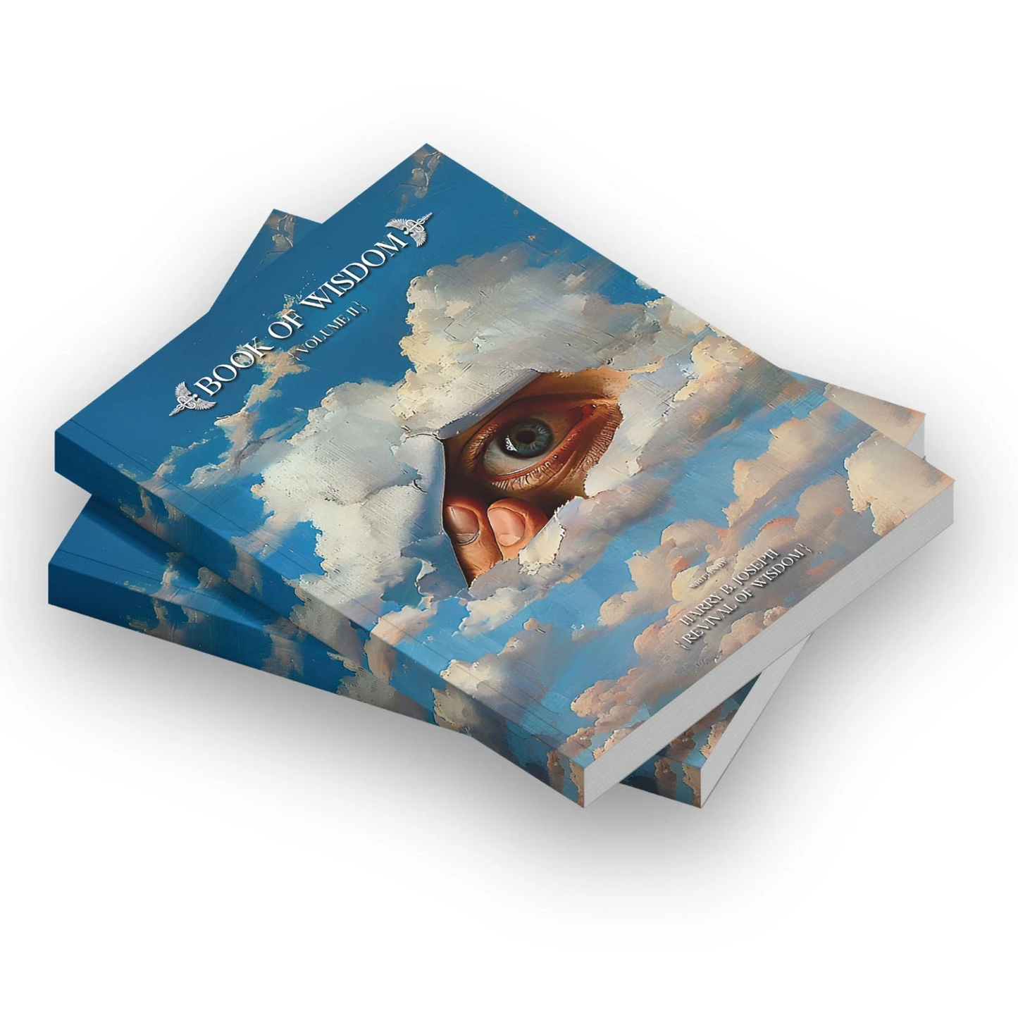 The Book of WisdomII Paperback