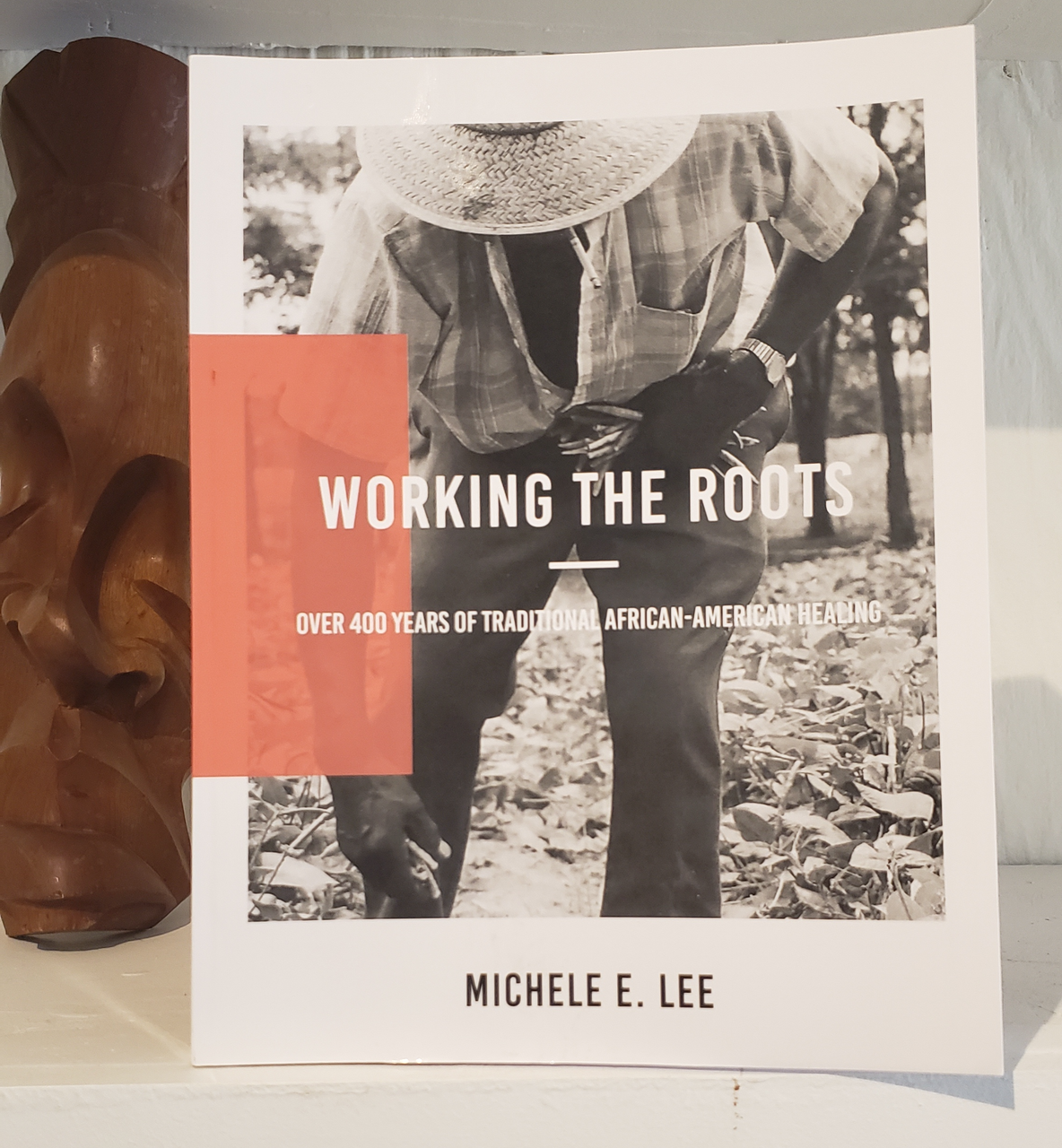 Working The Roots: Over 400 Years of Traditional African American Healing