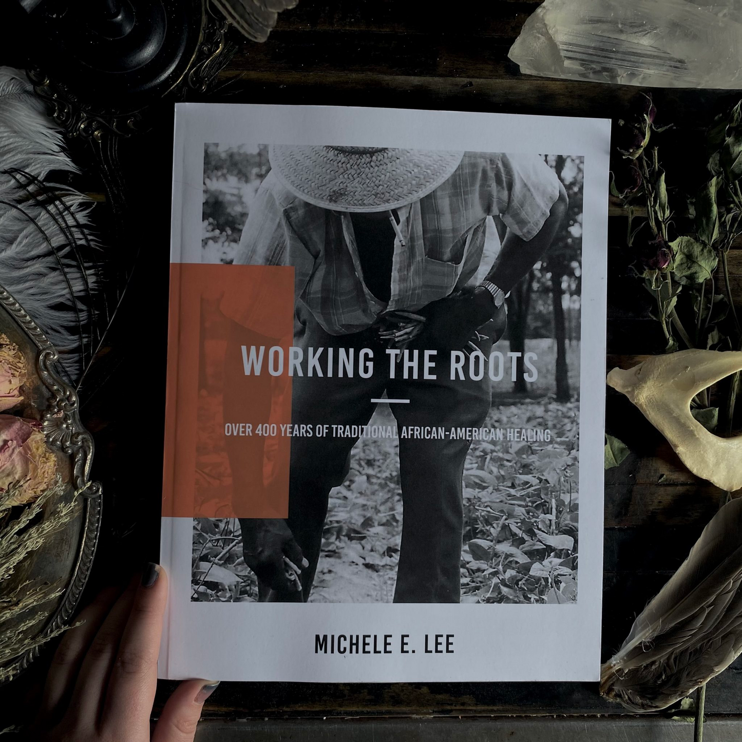 Working The Roots: Over 400 Years of Traditional African American Healing