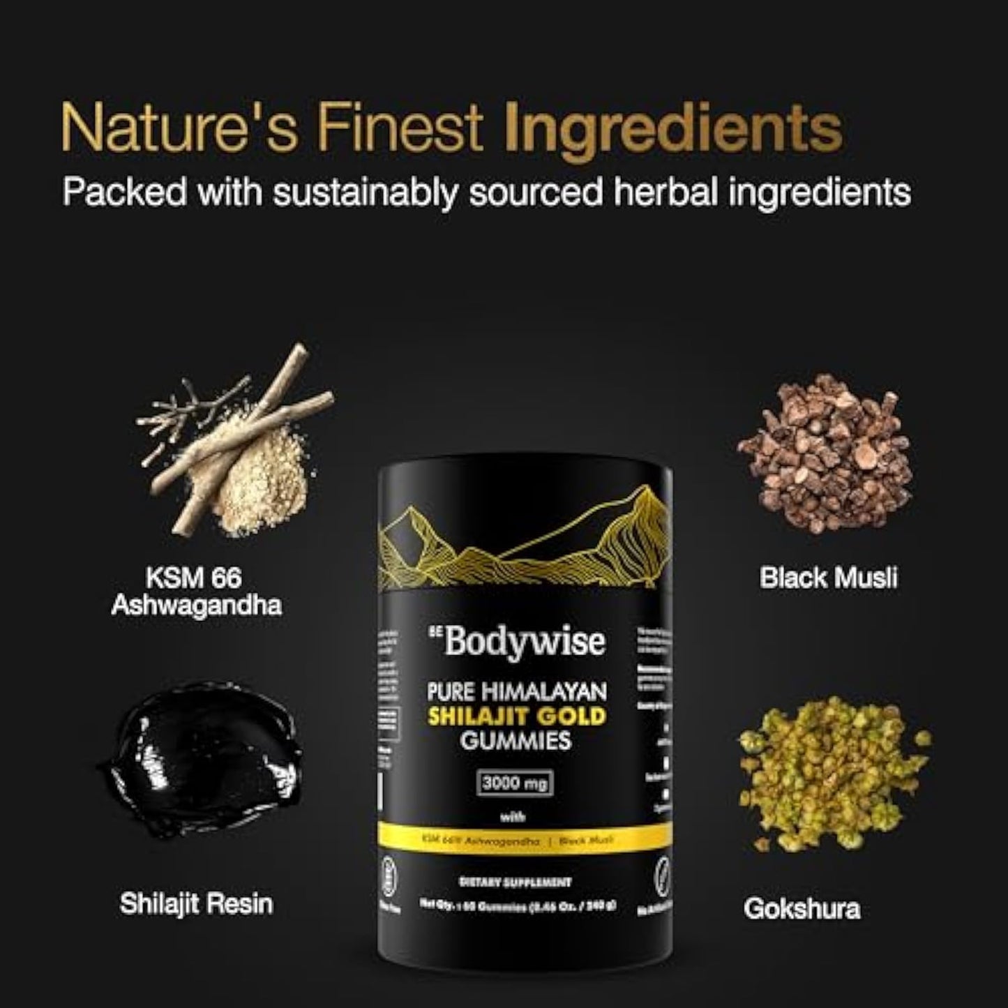 Himalayan Shilajit Gummies