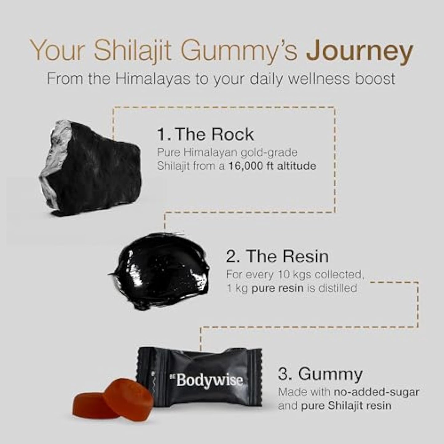 Himalayan Shilajit Gummies