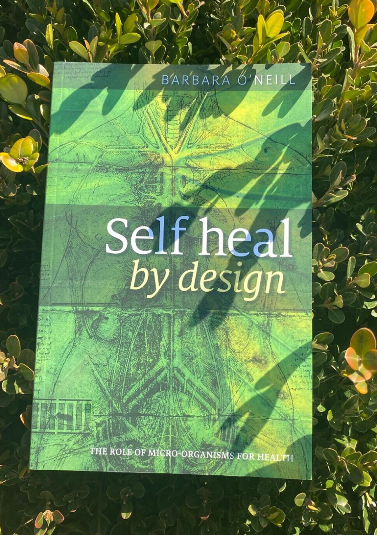 Self Heal By Design Barbara O'Neill (Paperback)