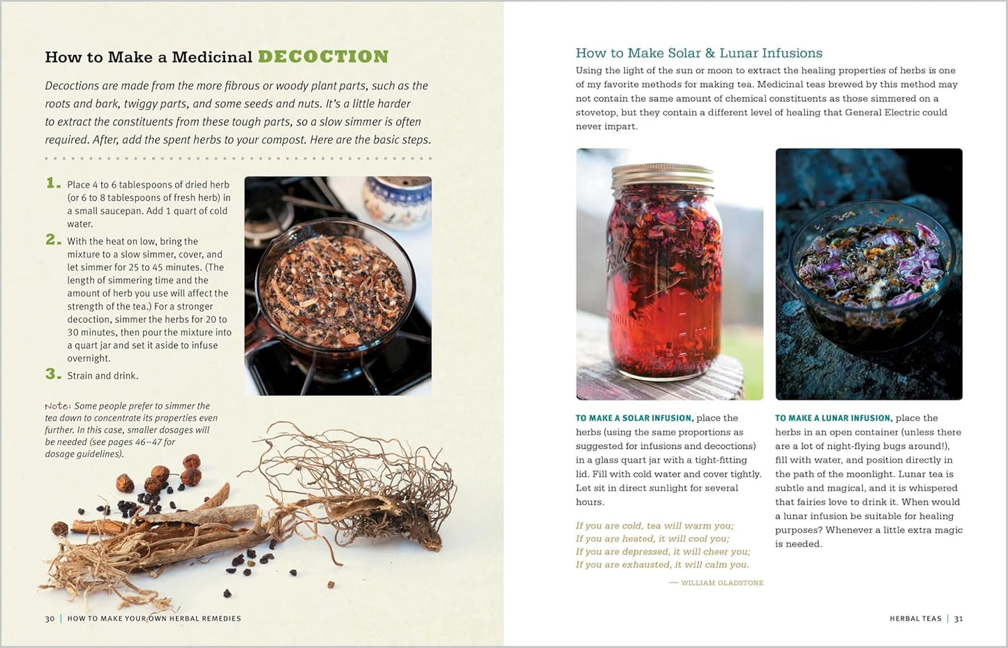 Medicinal Herbs