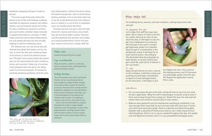 Medicinal Herbs