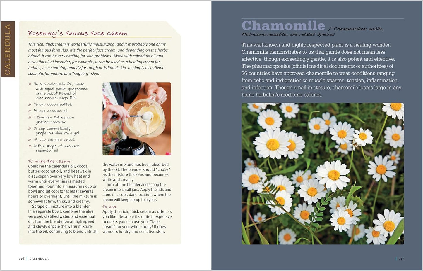 Medicinal Herbs