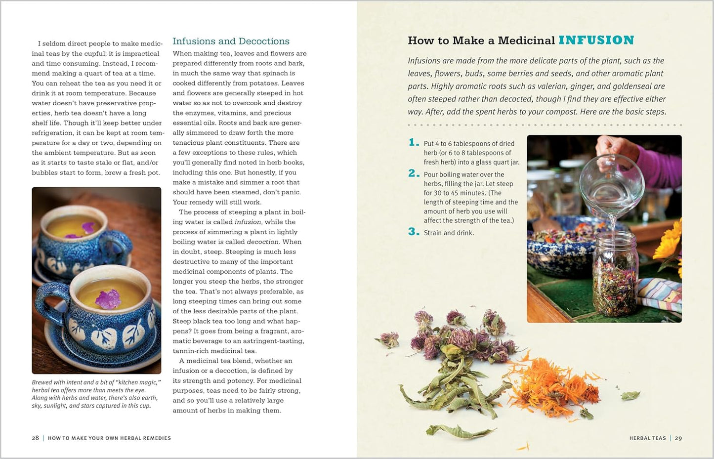 Medicinal Herbs
