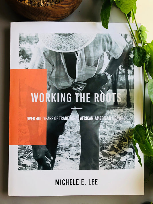 Working The Roots: Over 400 Years of Traditional African American Healing