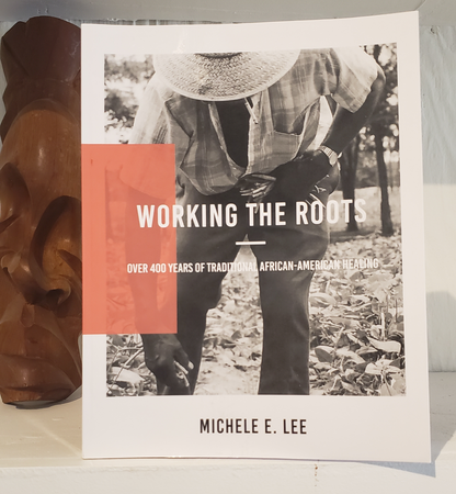 Working The Roots: Over 400 Years of Traditional African American Healing