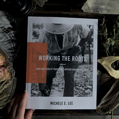 Working The Roots: Over 400 Years of Traditional African American Healing