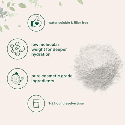 Hyaluronic Acid Powder